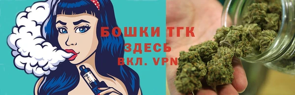 spice Елизово