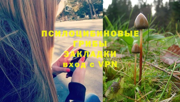 альфа пвп Дмитриев