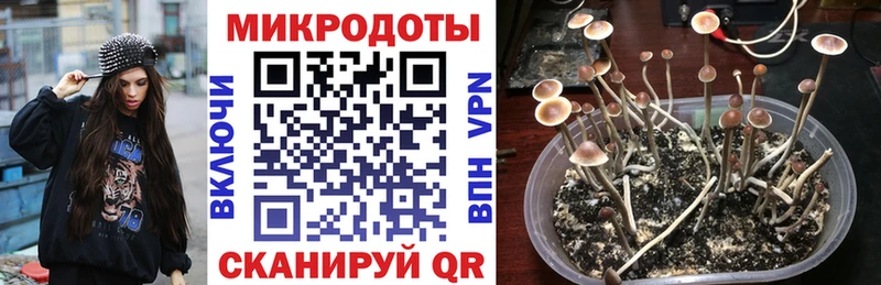 Купить где  Белогорск  Галлюциногенные грибы ЛСД 
